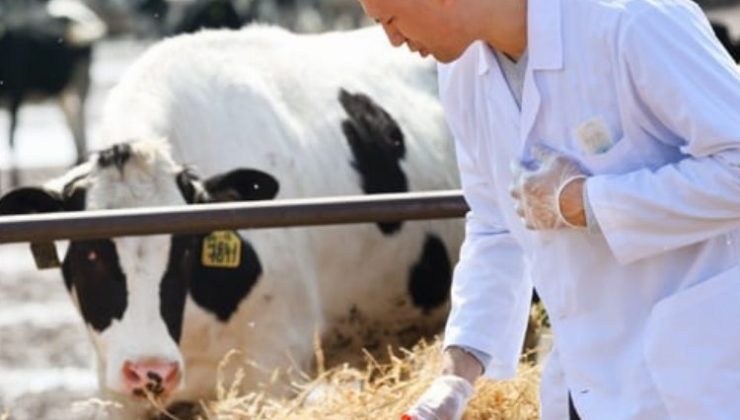 Tarımsal girdilerde veteriner harcamaları başı çekiyor