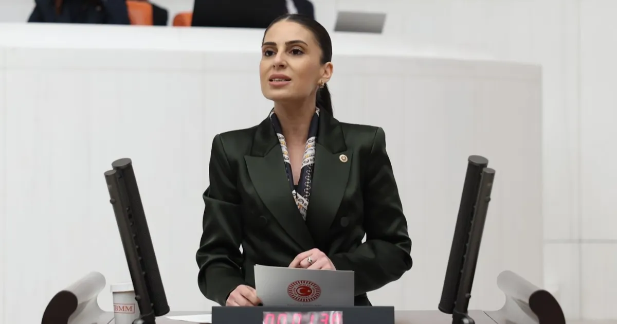 milletvekili-ozcandan-sokak-hayvanlari-icin-bakan-yumakliya-onerge-sDVX4lSW.webp
